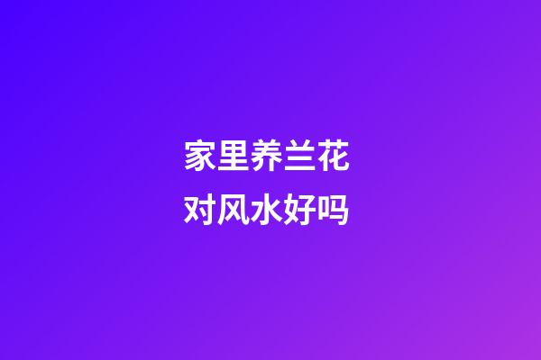 家里养兰花 对风水好吗